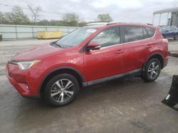 Toyota Rav4 salvage cars for sale: 2016 Toyota Rav4 XLE