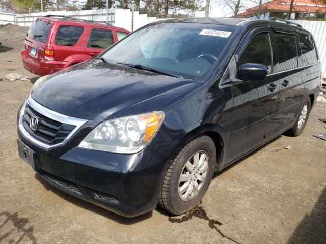 2010 Honda Odyssey EXL