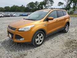 Salvage cars for sale at Byron, GA auction: 2016 Ford Escape SE