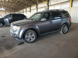 Salvage cars for sale at Phoenix, AZ auction: 2012 Ford Escape Limited