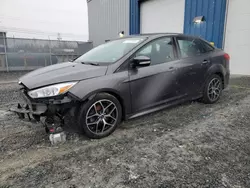 Salvage cars for sale at Elmsdale, NS auction: 2015 Ford Focus SE