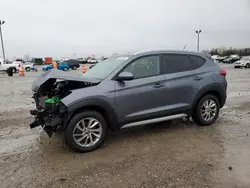 Salvage cars for sale at Indianapolis, IN auction: 2017 Hyundai Tucson Limited