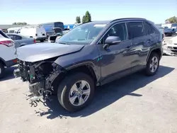 Salvage cars for sale at Hayward, CA auction: 2022 Toyota Rav4 XLE
