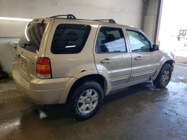 2007 Ford Escape Limited