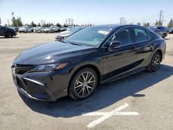 Salvage cars for sale at Rancho Cucamonga, CA auction: 2023 Toyota Camry SE Night Shade