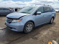 Salvage cars for sale at Brighton, CO auction: 2014 Honda Odyssey EX