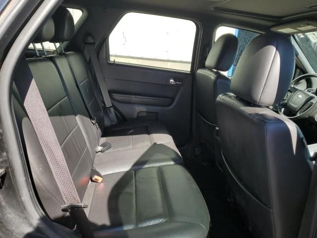 2011 Ford Escape Limited