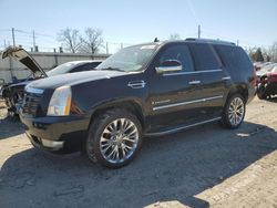 Salvage cars for sale at Lansing, MI auction: 2009 Cadillac Escalade Sport