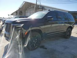 Salvage cars for sale at Corpus Christi, TX auction: 2023 Cadillac Escalade Sport