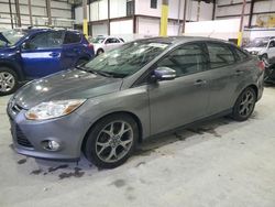 Ford Focus salvage cars for sale: 2014 Ford Focus SE