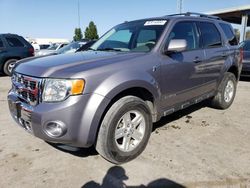 Vehiculos salvage en venta de Copart Hayward, CA: 2008 Ford Escape HEV