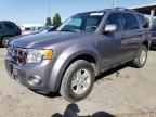 2008 Ford Escape HEV