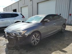 Salvage cars for sale from Copart Jacksonville, FL: 2016 Nissan Maxima 3.5S