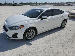 Salvage cars for sale at Arcadia, FL auction: 2019 Ford Fusion SE