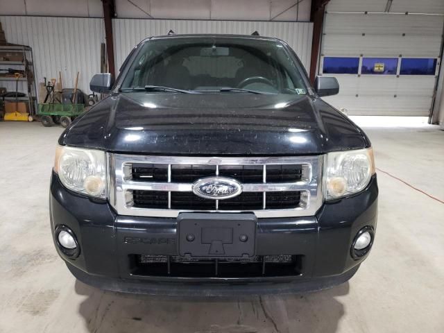 2009 Ford Escape XLT