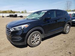 Salvage cars for sale at Columbia Station, OH auction: 2017 Hyundai Tucson SE