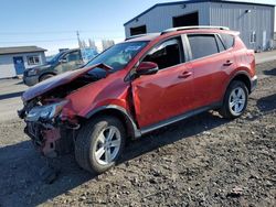 Toyota rav4 xle salvage cars for sale: 2014 Toyota Rav4 XLE