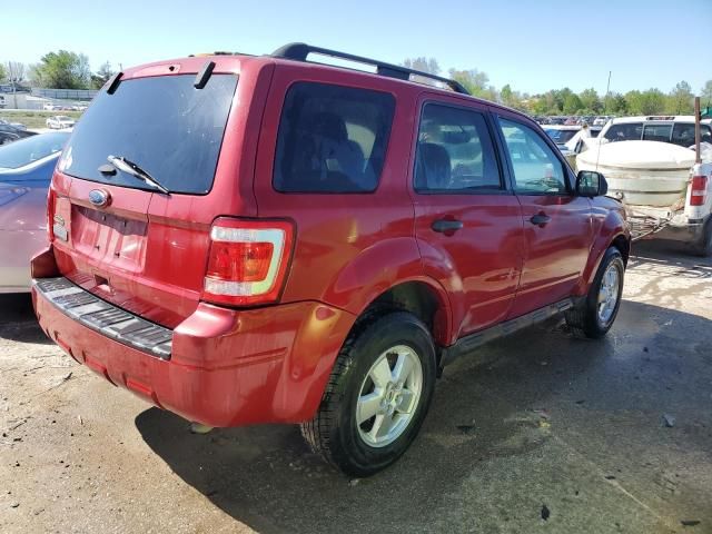 2011 Ford Escape XLT