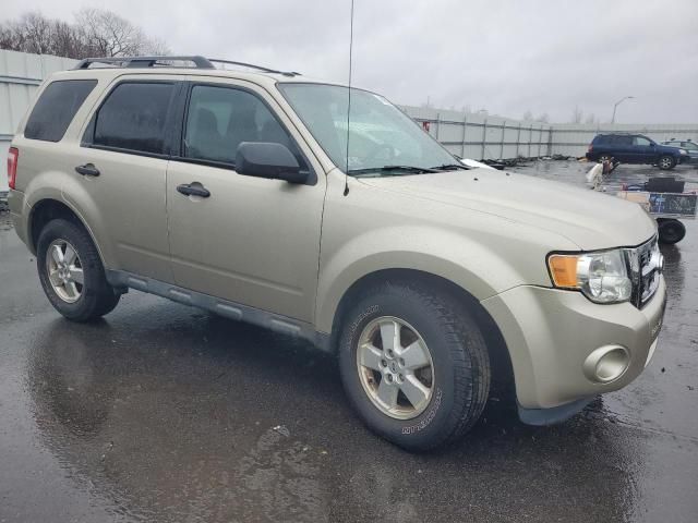 2010 Ford Escape XLT