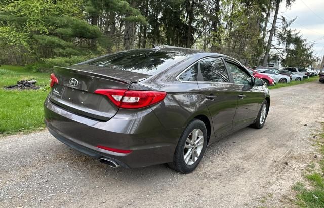 2016 Hyundai Sonata SE