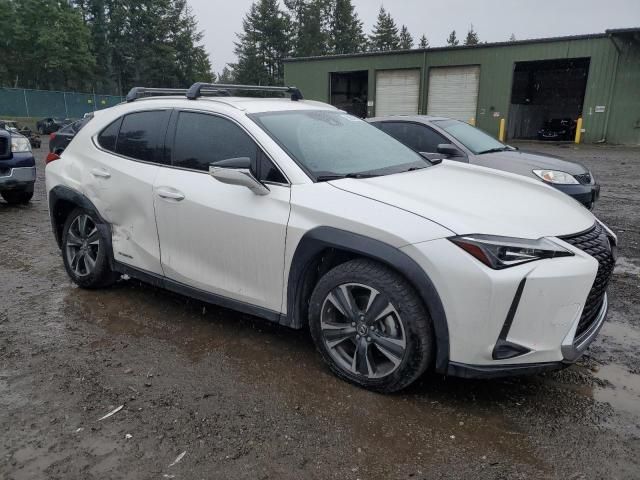 2020 Lexus UX 250H