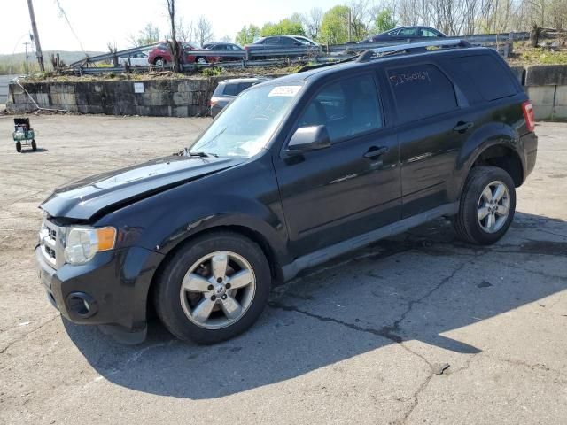 2012 Ford Escape Limited