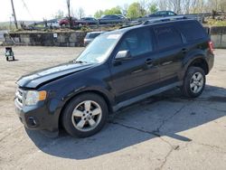 Salvage cars for sale at Marlboro, NY auction: 2012 Ford Escape Limited