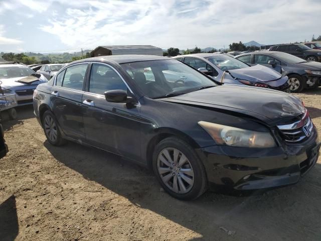 2011 Honda Accord EXL