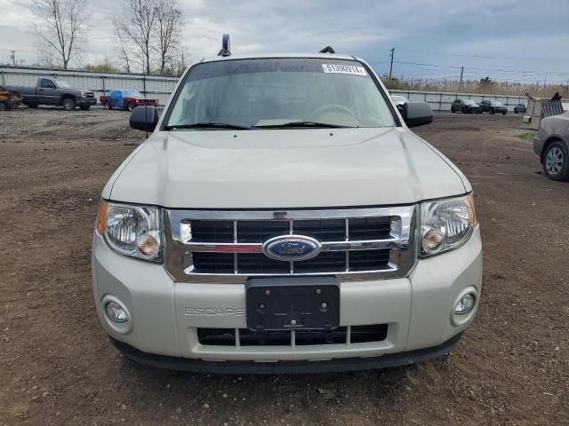 2009 Ford Escape XLT