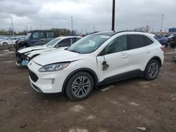 Salvage cars for sale at Woodhaven, MI auction: 2020 Ford Escape SEL