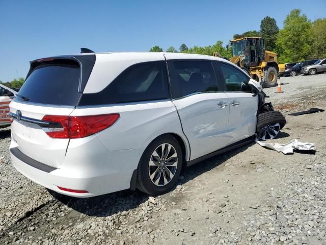 2024 Honda Odyssey EXL