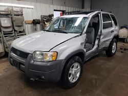 Ford Escape XLT Vehiculos salvage en venta: 2002 Ford Escape XLT