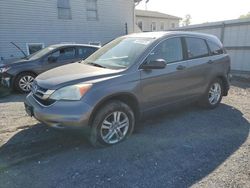 Salvage cars for sale at York Haven, PA auction: 2010 Honda CR-V EX