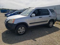 Salvage cars for sale from Copart Anderson, CA: 2003 Honda CR-V EX