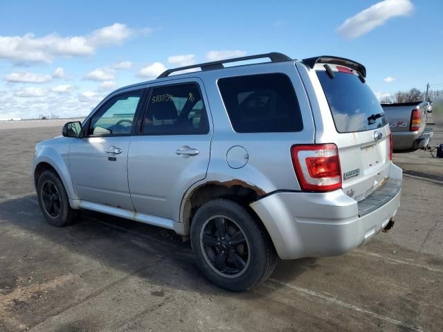 2011 Ford Escape XLT