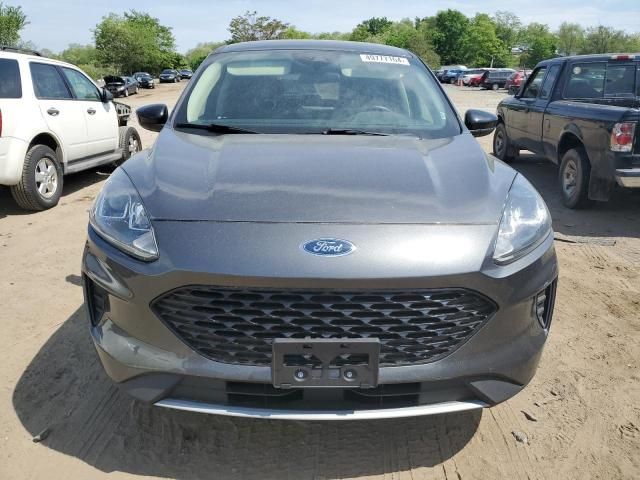 2020 Ford Escape SE Sport