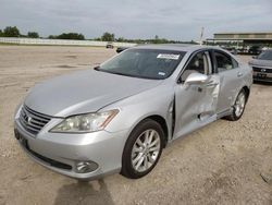 Salvage cars for sale at Houston, TX auction: 2010 Lexus ES 350