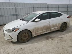 Salvage cars for sale from Copart Nisku, AB: 2017 Hyundai Elantra SE