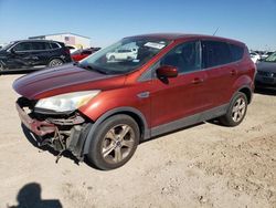 Salvage cars for sale at Amarillo, TX auction: 2014 Ford Escape SE