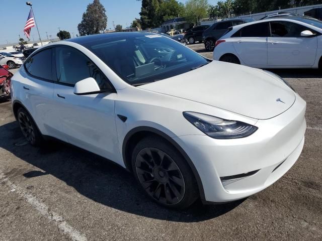 2020 Tesla Model Y