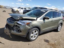 Salvage cars for sale at Brighton, CO auction: 2013 Ford Escape SE