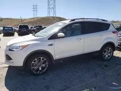 Salvage cars for sale at Littleton, CO auction: 2013 Ford Escape SEL