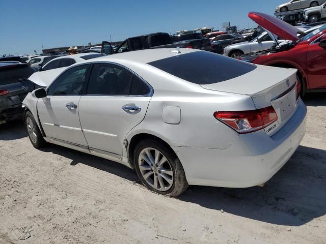 2010 Lexus ES 350