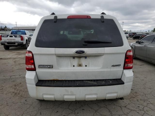 2009 Ford Escape XLT