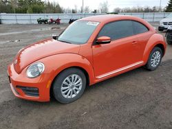 Volkswagen Beetle salvage cars for sale: 2017 Volkswagen Beetle SE