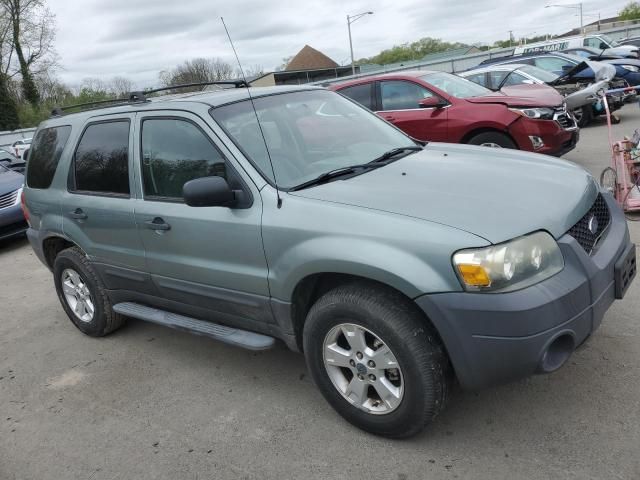 2007 Ford Escape XLT