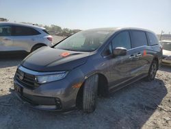 Salvage cars for sale at Cahokia Heights, IL auction: 2022 Honda Odyssey EX