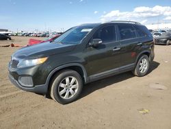 Salvage cars for sale at Brighton, CO auction: 2012 KIA Sorento Base