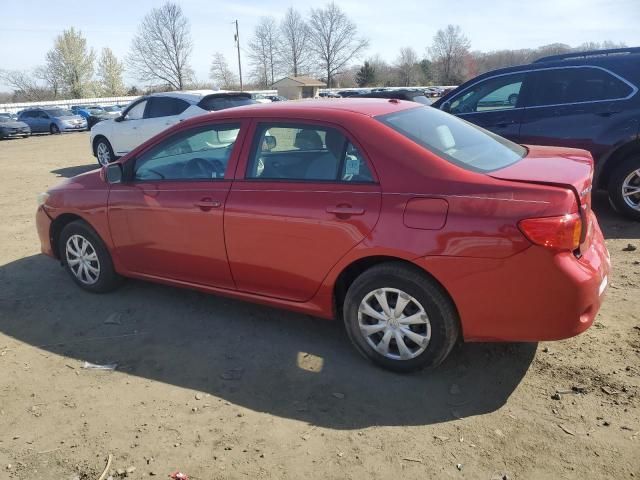 2010 Toyota Corolla Base