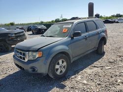 Ford Escape XLT salvage cars for sale: 2010 Ford Escape XLT